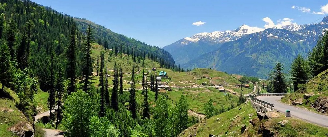 Rajaji National Park - A Day Trip Destination from Rishikesh