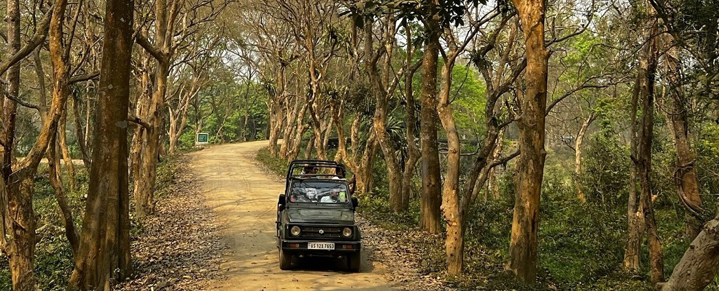 How to Plan a Long Weekend Escape in Rajaji National Park